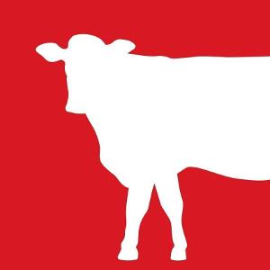 Oberweis Ice Cream and Dairy Store logo