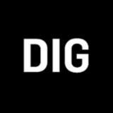 DIG logo